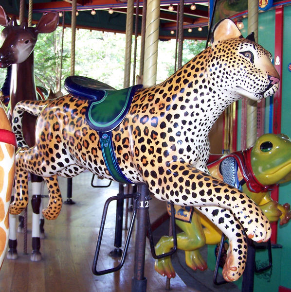 Click to display the next picture